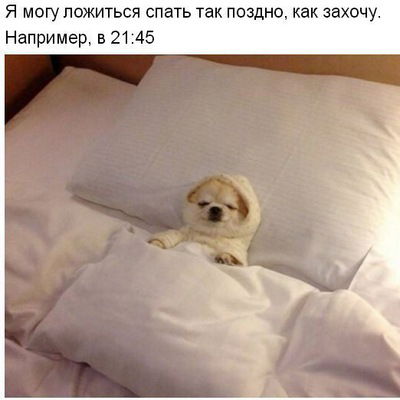 Марина Канкасова