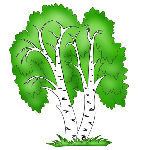 Аккайын №16 Аккайын