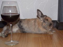 Яковлева Яковлева