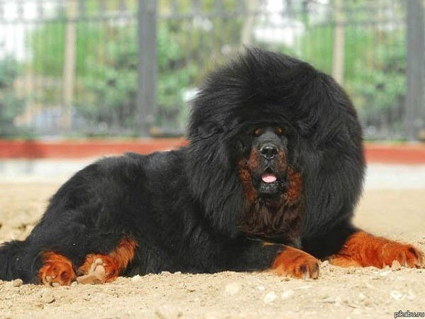 Наталия Бедрий