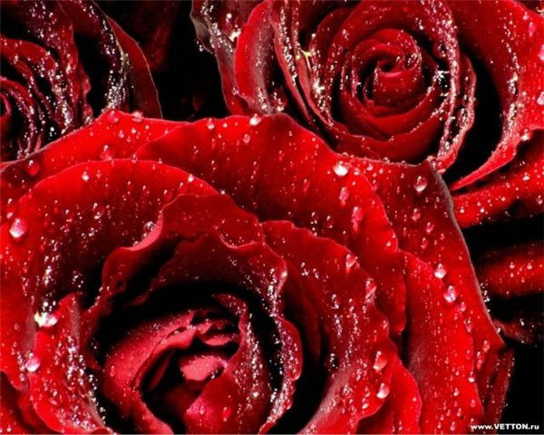 Жанна Калматаева