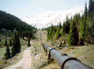 Владимир Петровия