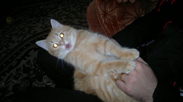 Анна Васильева