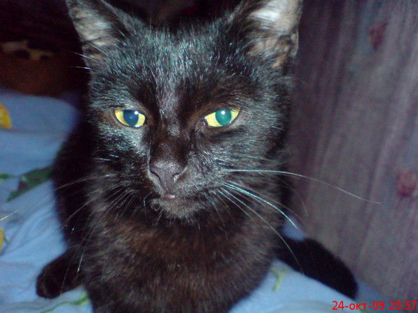 Татьяна Горох