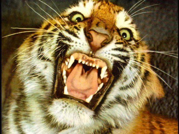 Олег Творогов