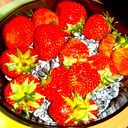 Yulia *********