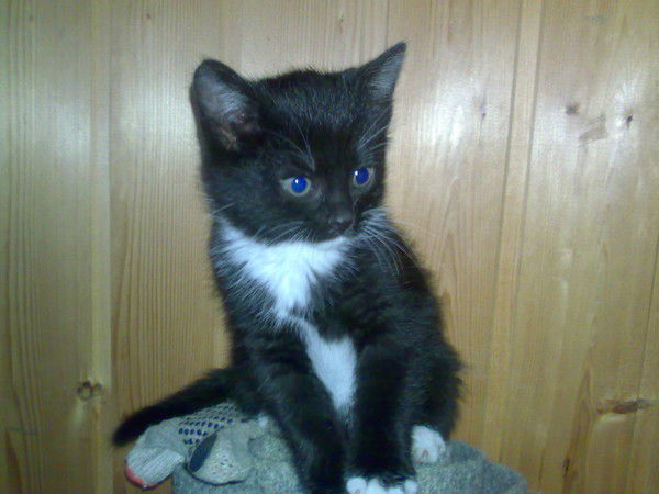 Игорь Солдатов