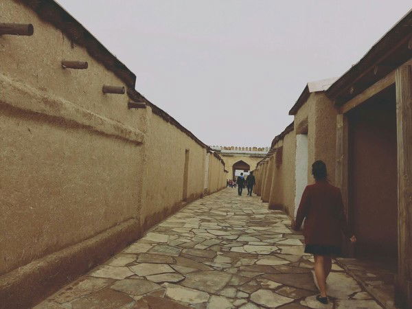 Гулнар Асылбек