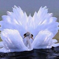 Людмила Семёнова