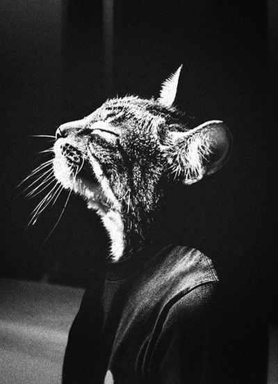 Саша Штенин