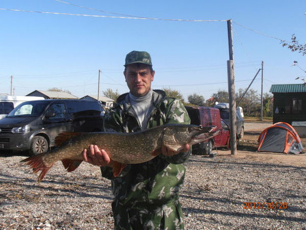 Степаненко Вячеслав
