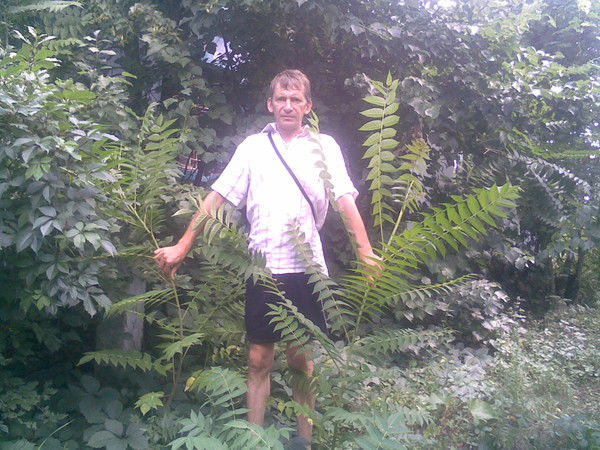 Андрей Нерушаев