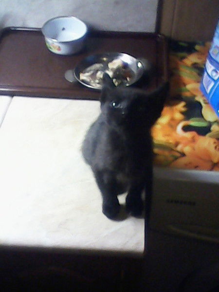 Юлия Созыкина