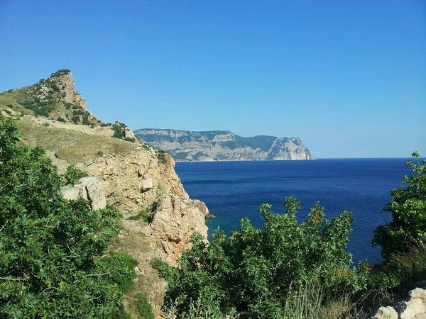 Антон Естишин