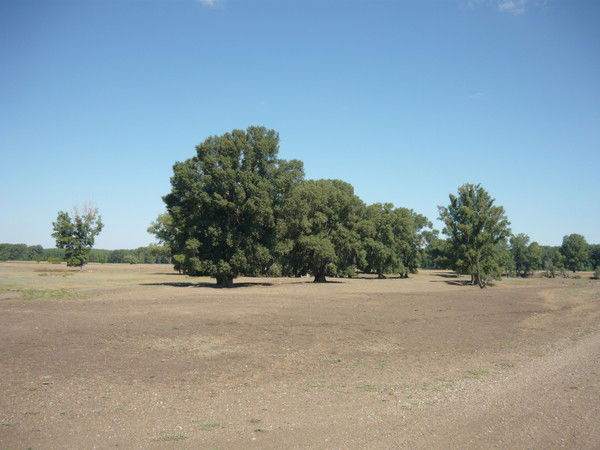 Юрий Жестовских