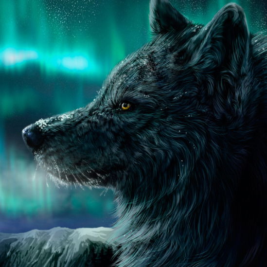 Дмитрий Решетников