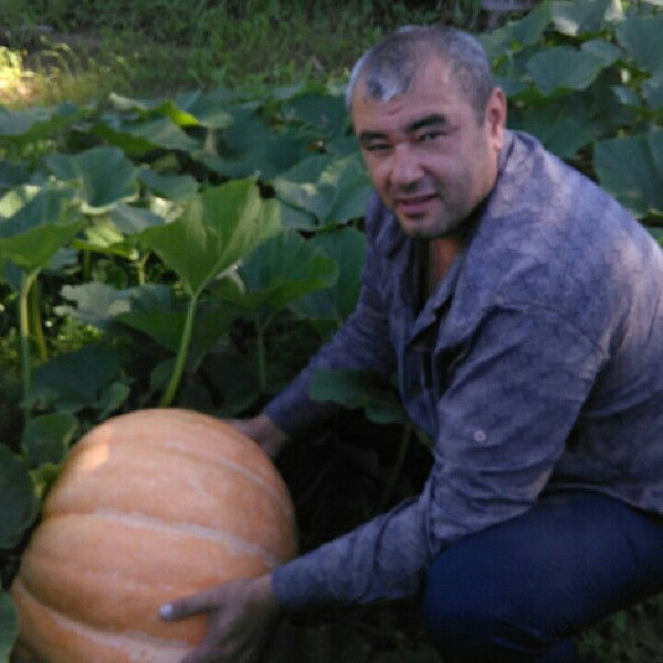 Одил Кабилов