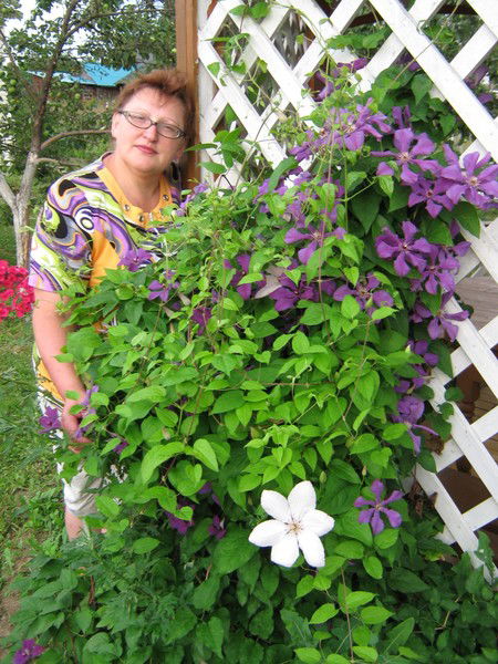 Галина Полохова