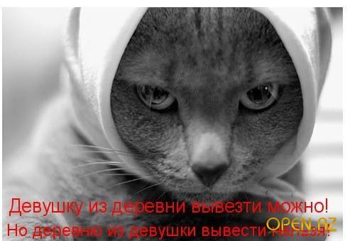 Айгюн Гасанбекова