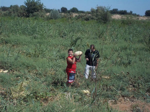 Роман Татиенко