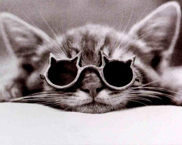 Светлана Кубасова