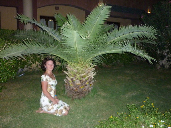 Елена Черноусова