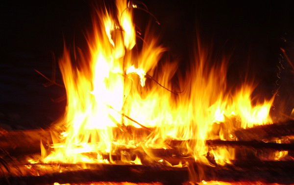 Анастасия Задонская