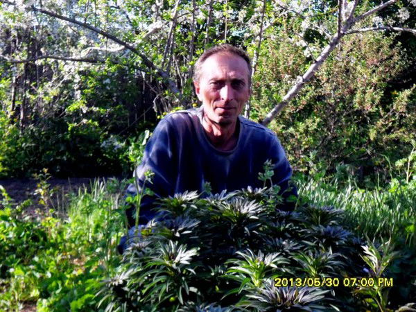 Сергей Хорсов