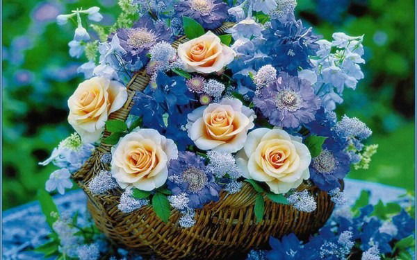 Наталья Объедкова