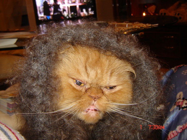 Любовь Риффель