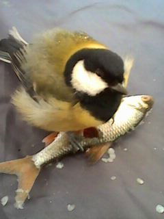 Зарина Егорова