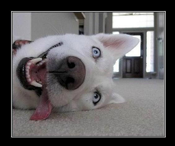 Андрей Гусев