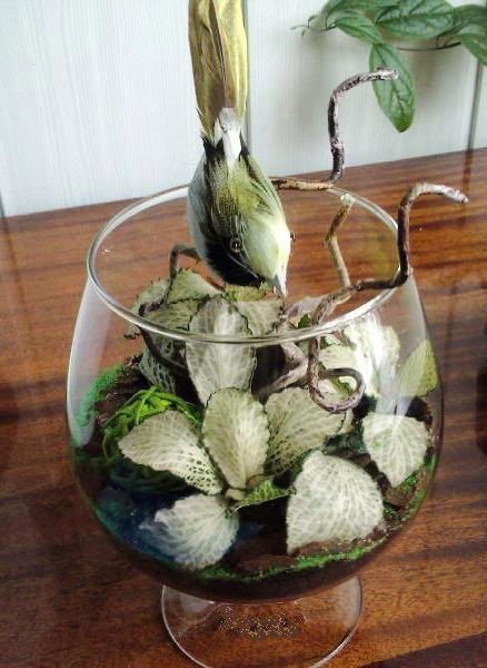 Лана Стрелкова