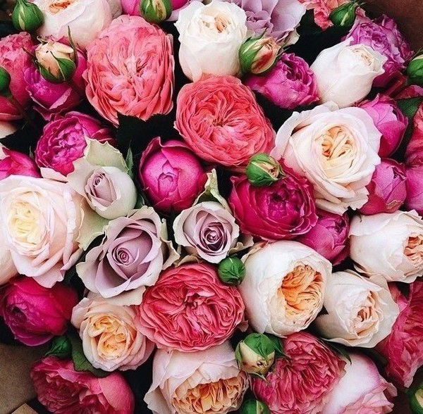 Назерке Мантеева