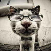 Артемий Кирюшкин