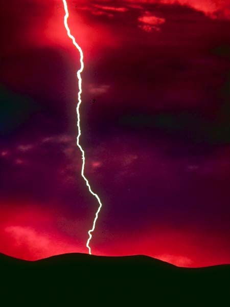 Михаил Латута