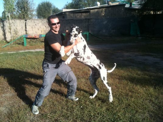 Константин Прошин