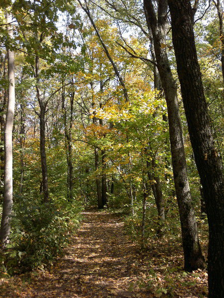 Александр Герасименко