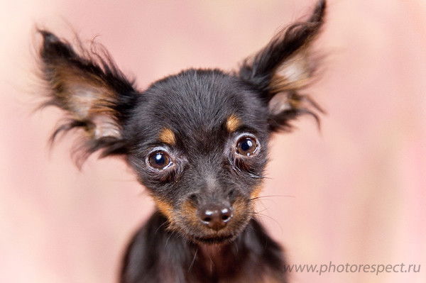 Екатерина Возжаева