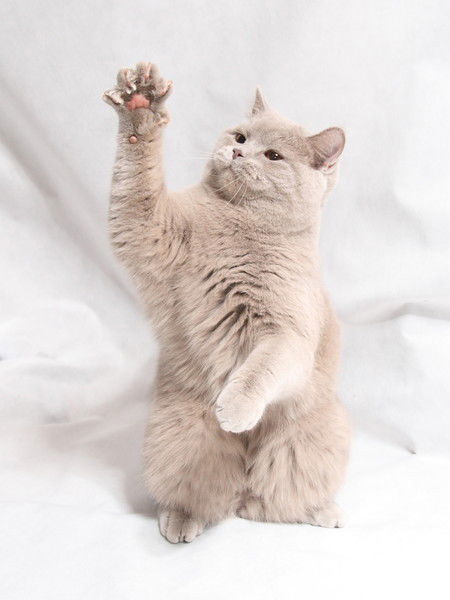 Егор Егоров