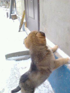 Витя Ротаревич