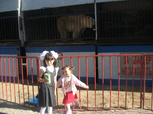 Аскар Маматалиев