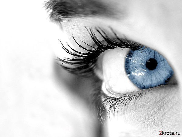 Светик Светик