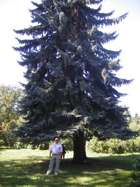 Александр Епанешников