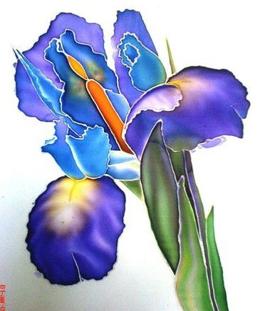 Анастасия Кондрашова