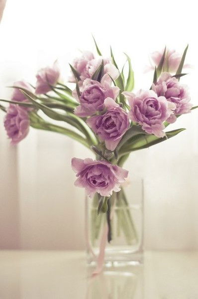 Яна Братица