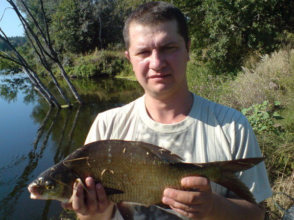 Эдуард Александрович