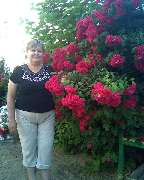 Михайлова Валентина