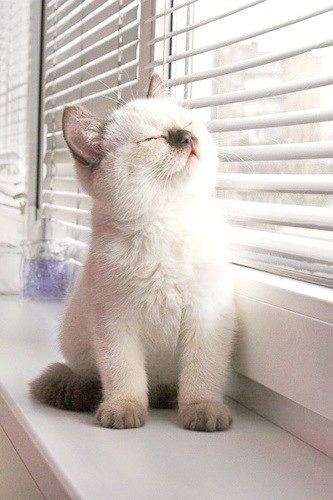 Руслан Рудых