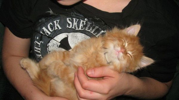 Котэ С Райончика